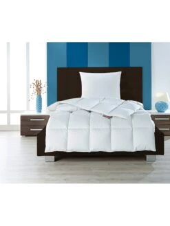 Winter-Daunendecke "Moschus Royal" In Silbergrau