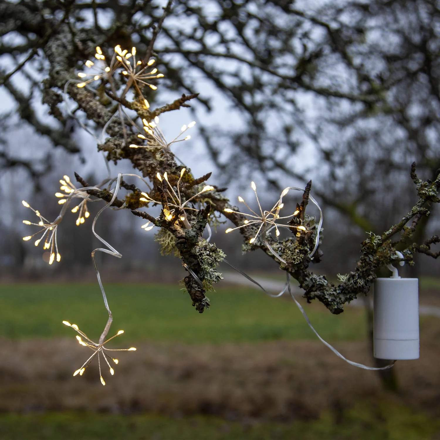 LED Lichterkette 8 Büscheln Blüten Dekolichterkette L: 2,1m In Silber – Bild 5