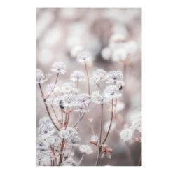 Leinwandbild - Federleichte Wildblumen In Braun