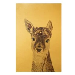 Leinwandbild Gold - Reh Kitz Portrait In Braun