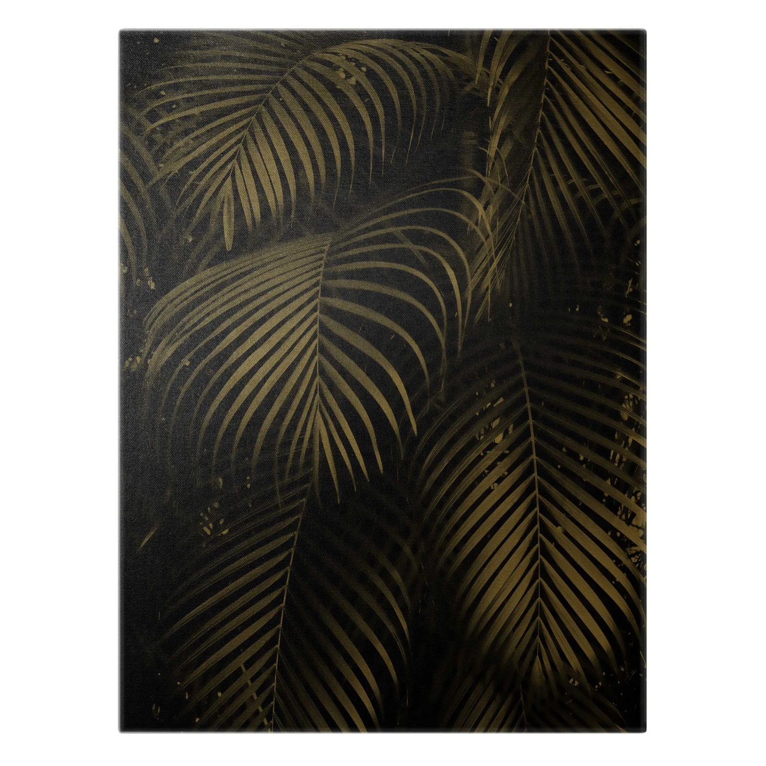 Leinwandbild Gold - Schwarze Palmwedel In Schwarz