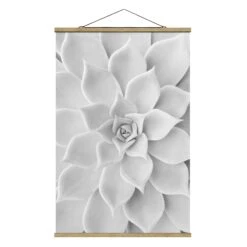 Stoffbild Mit Posterleisten - Kaktus Sukkulente In Schwarz-Weiß