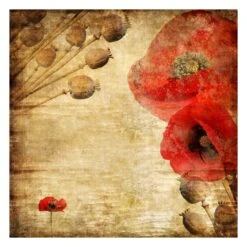 Vliestapete Smart - Poppy Flower In Rot